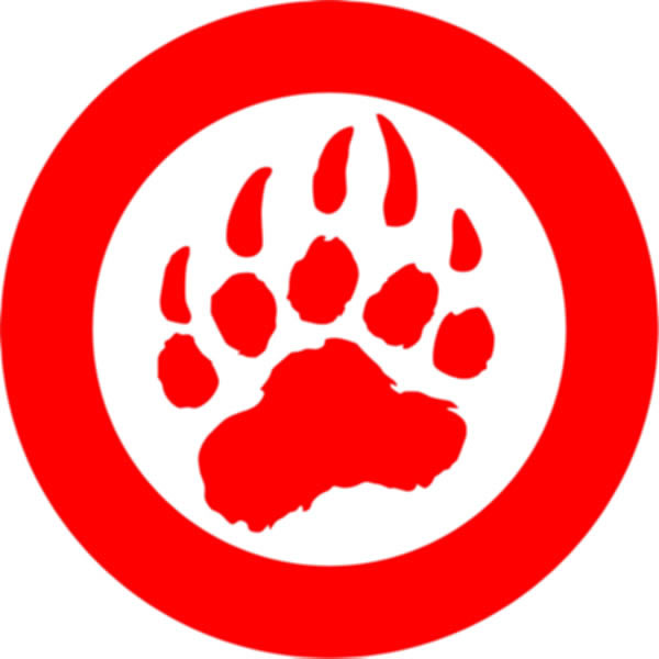 Big Bear LLP